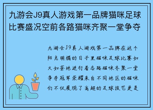 九游会J9真人游戏第一品牌猫咪足球比赛盛况空前各路猫咪齐聚一堂争夺冠军荣耀